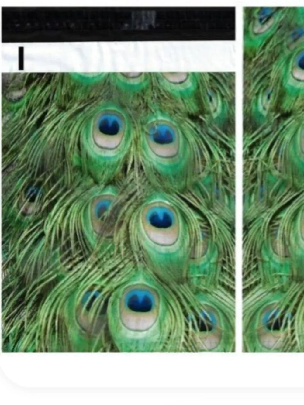 Peacock Feathers Poly Mailers 6
